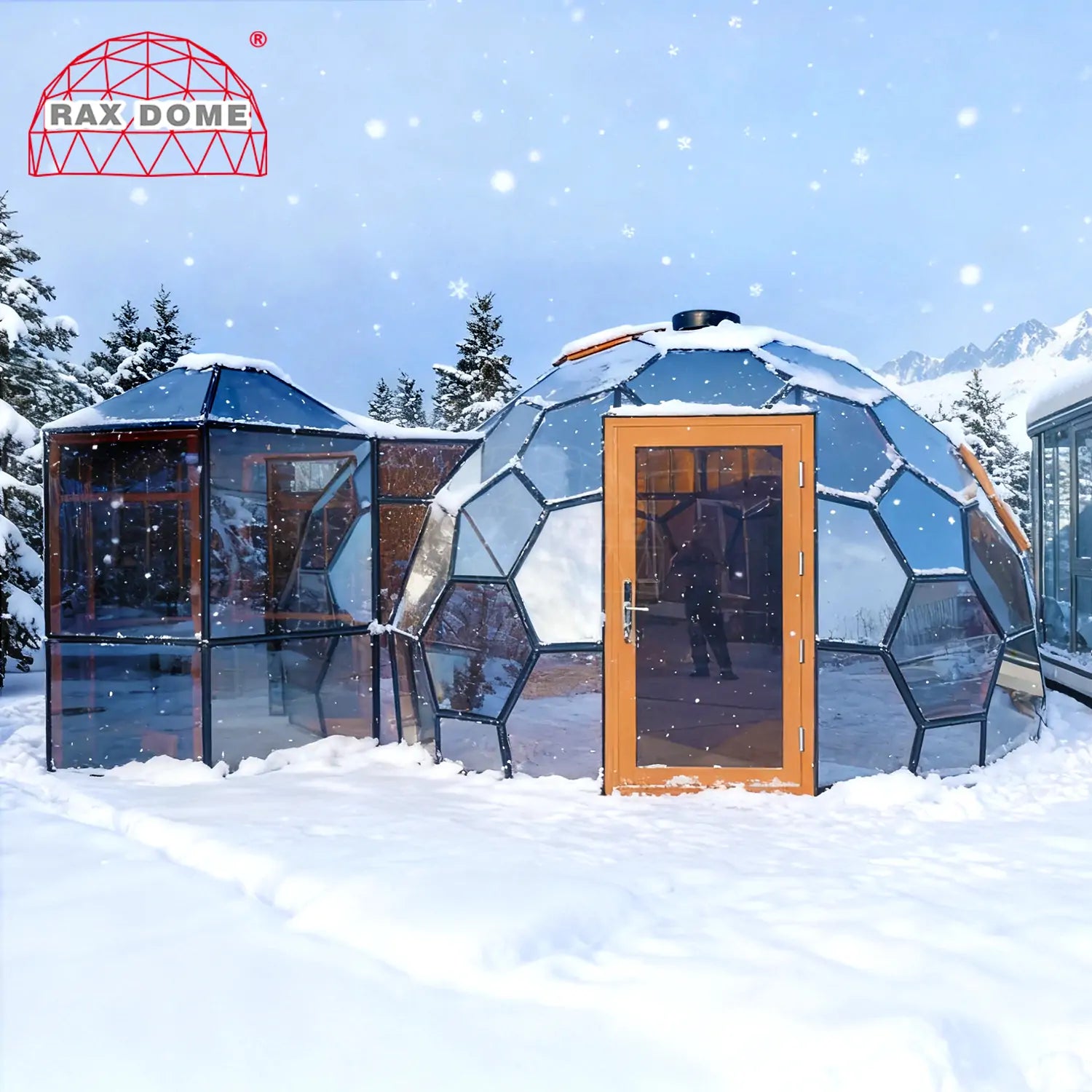 6M Honeycomb Glass Dome with Connected Bathroom for Luxury Glamping Resorts | Bulgaria Project